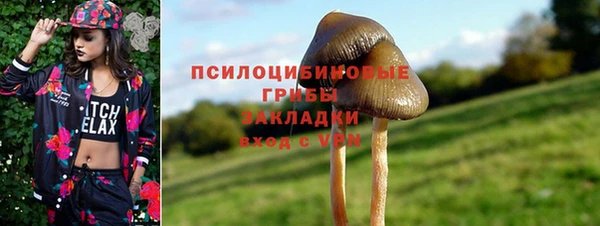 СК Каменка