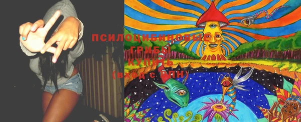 первитин Каменногорск