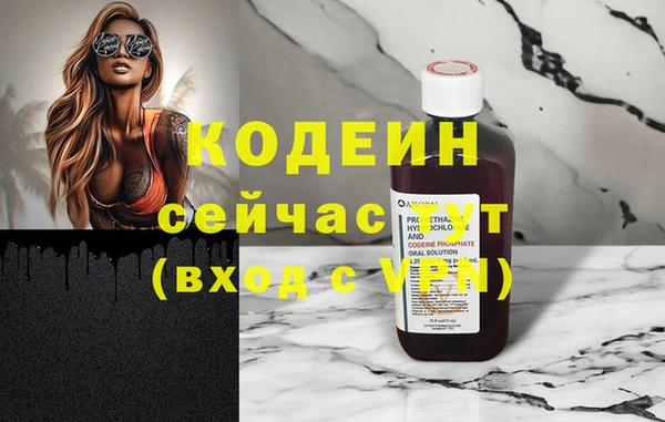 СК Каменка