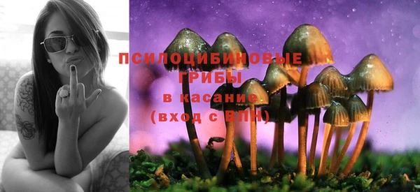 первитин Каменногорск