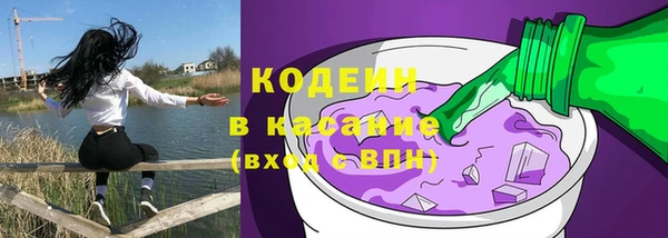СК Каменка