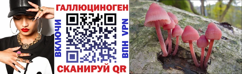 Купить  Пикалёво  Псилоцибиновые грибы Psilocybe 